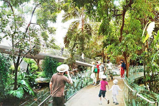 25 Beste dingen om te doen in Montreal, Canada (voor 2023)